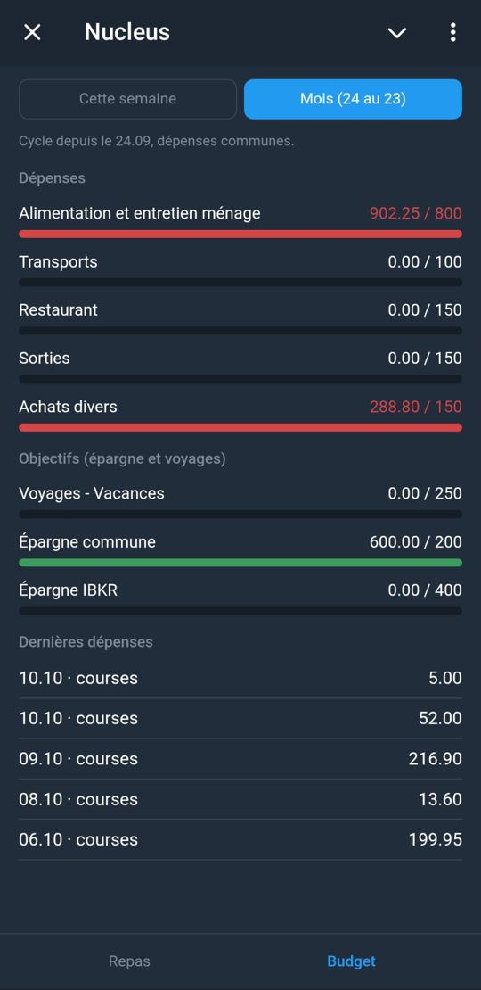 Mini-app Nucleus : suivi du budget par catégorie